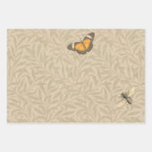 Feuille De Papier Cadeau Toucan Jungle Tropical Bird Belle antique (Devant 3)