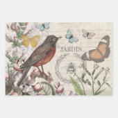 Feuille De Papier Cadeau Toucan Jungle Tropical Bird Belle antique (Devant 2)