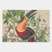 Feuille De Papier Cadeau Toucan Jungle Tropical Bird Belle antique (Devant)