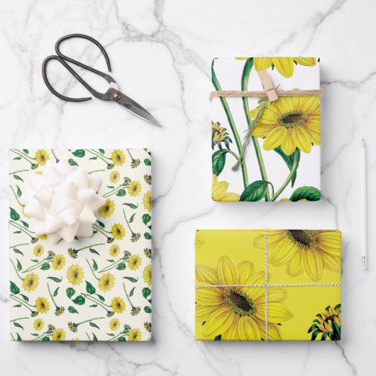 Feuille De Papier Cadeau Tournesol aquarelle (Recto)
