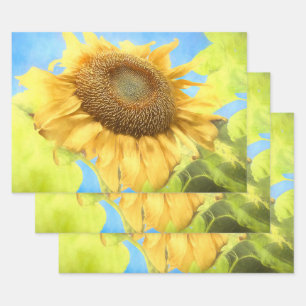 Feuille De Papier Cadeau Tournesol-Pays Aquarelle jaune rustique
