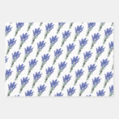 Feuille De Papier Cadeau tournesols, Lavander roses (Devant 2)