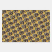 Feuille De Papier Cadeau Tracteurs agricoles Vintages (Devant 3)