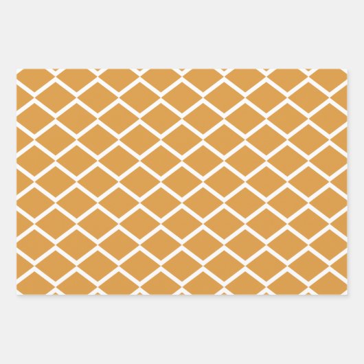 Feuille De Papier Cadeau Trio Motif sans couture de Lion amusant (Devant 2)