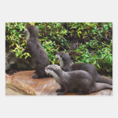 Feuille De Papier Cadeau Trois Otter, Enveloppement Cadeau, Découpage, Feui (Devant 3)