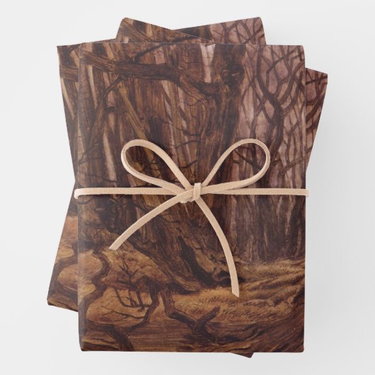 Feuille De Papier Cadeau Troncs d'arbres Brown dans une forêt automnale (En situation)