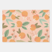 Feuille De Papier Cadeau Tropical Citrus Floral Rose (Devant 3)