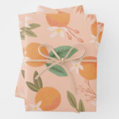 Feuille De Papier Cadeau Tropical Citrus Floral Rose (En situation)