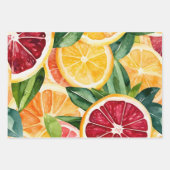 Feuille De Papier Cadeau Tropical Citrus Orange Fruit Slices (Devant 3)