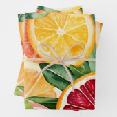 Feuille De Papier Cadeau Tropical Citrus Orange Fruit Slices (En situation)