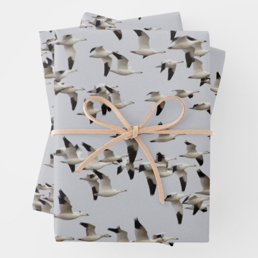 Feuille De Papier Cadeau Troupeau d'oies en vol (En situation)