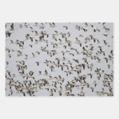 Feuille De Papier Cadeau Troupeau d'oies en vol (Devant 3)