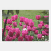 Feuille De Papier Cadeau Tulipes au Palais Royal (Devant 2)