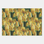 Feuille De Papier Cadeau Tulips Sunshine Yellow (Devant 3)