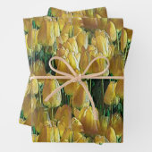 Feuille De Papier Cadeau Tulips Sunshine Yellow (En situation)