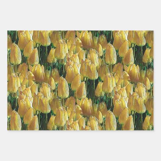Feuille De Papier Cadeau Tulips Sunshine Yellow (Devant)