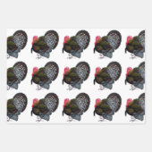 Feuille De Papier Cadeau Turquie : Bronze Tom (Devant)