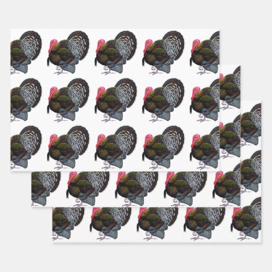 Feuille De Papier Cadeau Turquie : Bronze Tom (Lot)