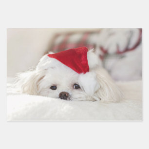 Feuille De Papier Cadeau Un mignon chien blanc dans un Casquette de Noël ro