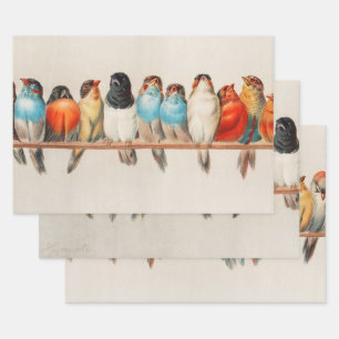 Feuille De Papier Cadeau Une perche d'oiseaux, 1880 par Hector Giacomelli