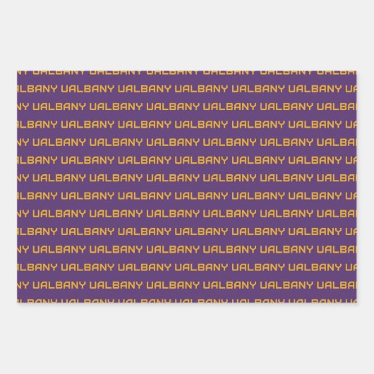 Feuille De Papier Cadeau Université de Albany Wordmark (Devant 3)