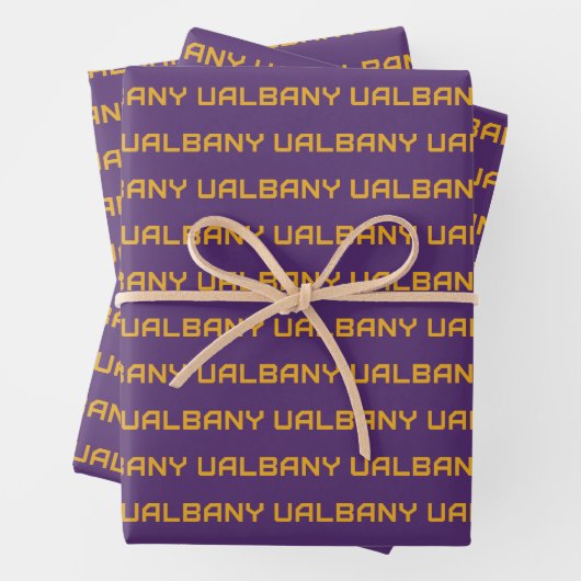 Feuille De Papier Cadeau Université de Albany Wordmark (En situation)