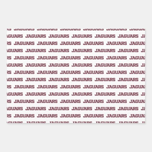 Feuille De Papier Cadeau Université Texas A&M de San Antonio Jaguars (Devant 3)