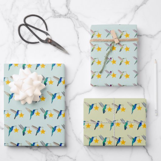 Feuille De Papier Cadeau Vacances Colibri (Recto)