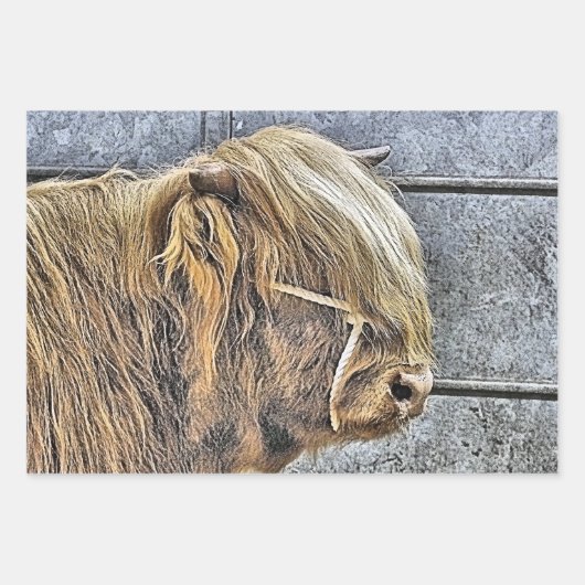 FEUILLE DE PAPIER CADEAU VACHE (Devant 2)