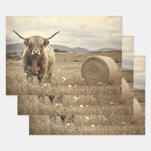 Feuille De Papier Cadeau Vache de Highland dans un champ de foin Découpage (Lot)