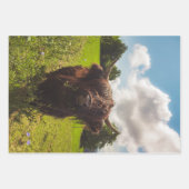 Feuille De Papier Cadeau Vache noire pâturage vert champ soleil (Devant 2)