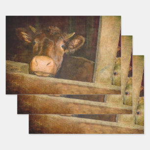 Feuille De Papier Cadeau Vache Texture vintage En Grange Rustique Pays Drôl