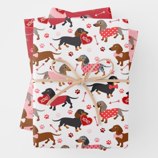 Feuille De Papier Cadeau Valentine Dachshund (En situation)