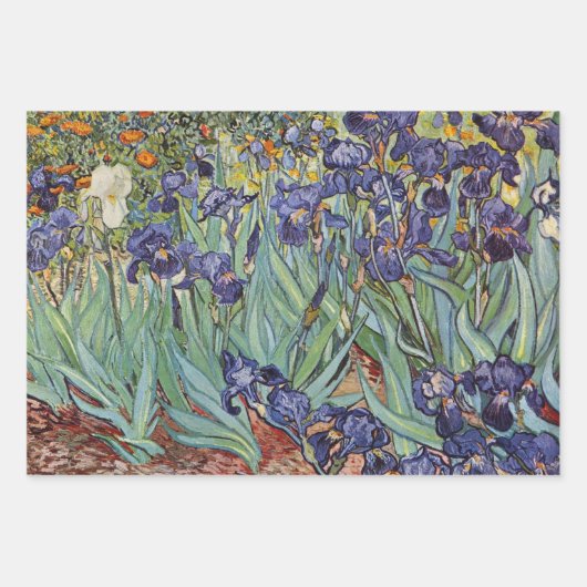 Feuille De Papier Cadeau Van Gogh Vue Arles Jardin Fleuri (Devant 2)