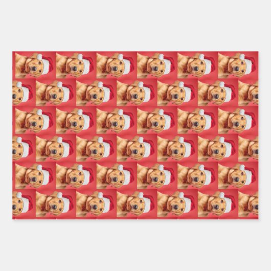 Feuille De Papier Cadeau Variété de chiots du Labrador (Devant)