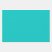 Feuille De Papier Cadeau Verre verni équatorien (Devant 2)