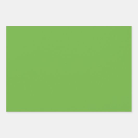 Feuille De Papier Cadeau Vert de printemps et chevron blanc mariage anniver (Devant 3)