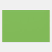 Feuille De Papier Cadeau Vert de printemps et chevron mariage anniversaire  (Devant 3)