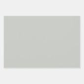 Feuille De Papier Cadeau Vert gris clair uni (Devant)