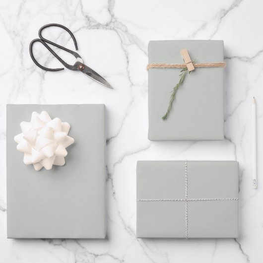 Feuille De Papier Cadeau Vert gris clair uni (Recto)