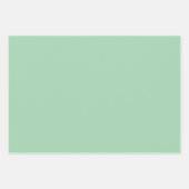 Feuille De Papier Cadeau Vert menthe solide (Devant)