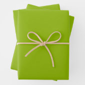 Feuille De Papier Cadeau Vert pomme (couleur solide) (En situation)