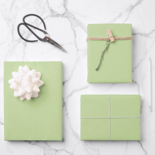 Feuille De Papier Cadeau Vert pomme pastel uni (Recto)