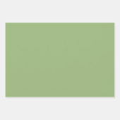Feuille De Papier Cadeau Vert sauge uni solide (Devant 3)