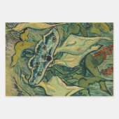 Feuille De Papier Cadeau Vincent van Gogh - Giant Peacock Moth (Devant 3)