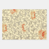 Feuille De Papier Cadeau Vintage rose gris botanique (Devant)