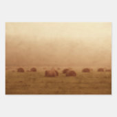 Feuille De Papier Cadeau Vintage russophone Hay Bales (Devant 2)