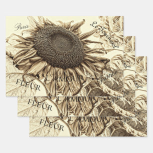 Feuille De Papier Cadeau Vintage Tournesol Sepia Tone Vieux Script Découpag