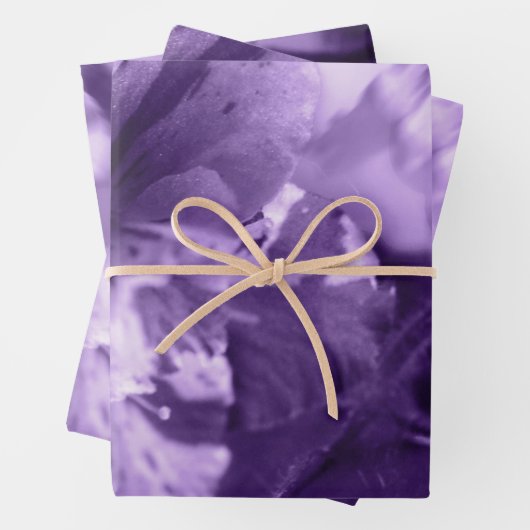 Feuille De Papier Cadeau Violettes monochromes (En situation)