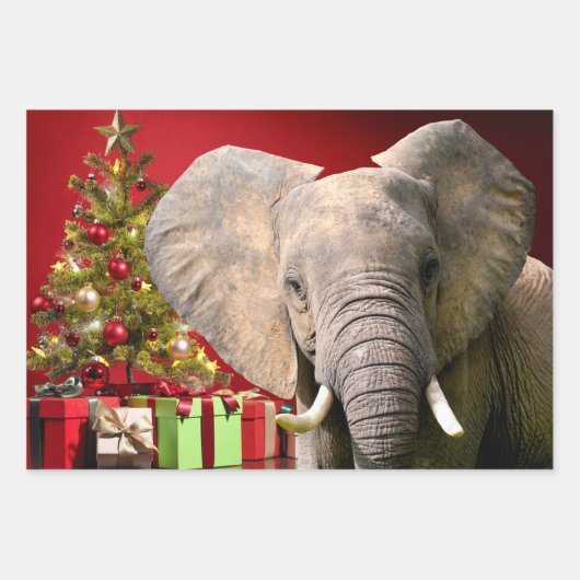Feuille De Papier Cadeau Voeux de Noël éléphant (Devant)